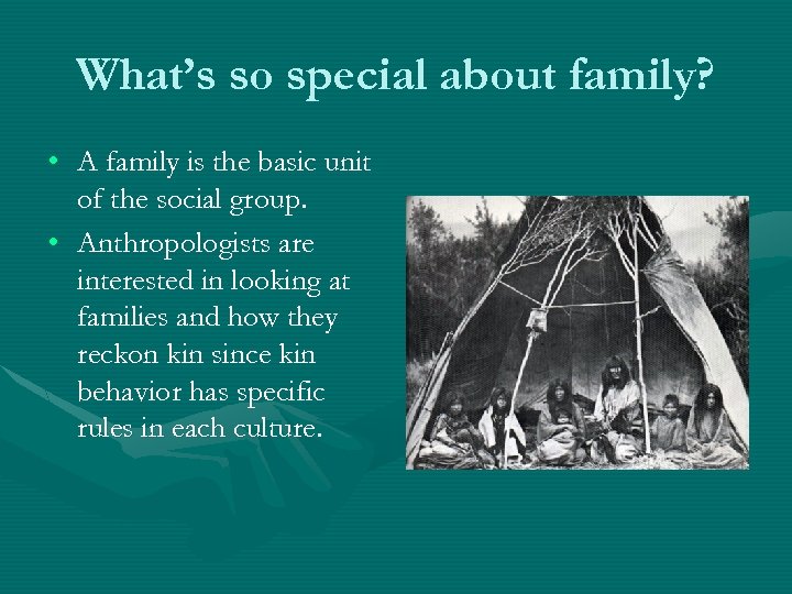 What’s so special about family? • A family is the basic unit of the