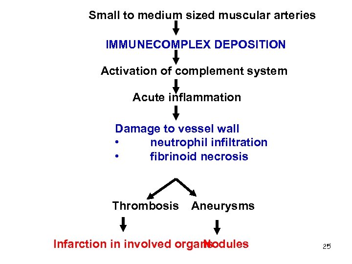 Small to medium sized muscular arteries IMMUNECOMPLEX DEPOSITION Activation of complement system Acute inflammation