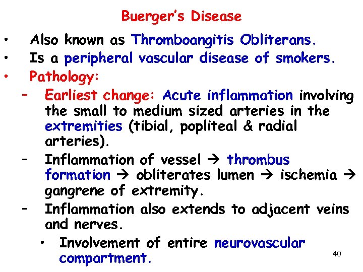 Buerger’s Disease • • • Also known as Thromboangitis Obliterans. Is a peripheral vascular