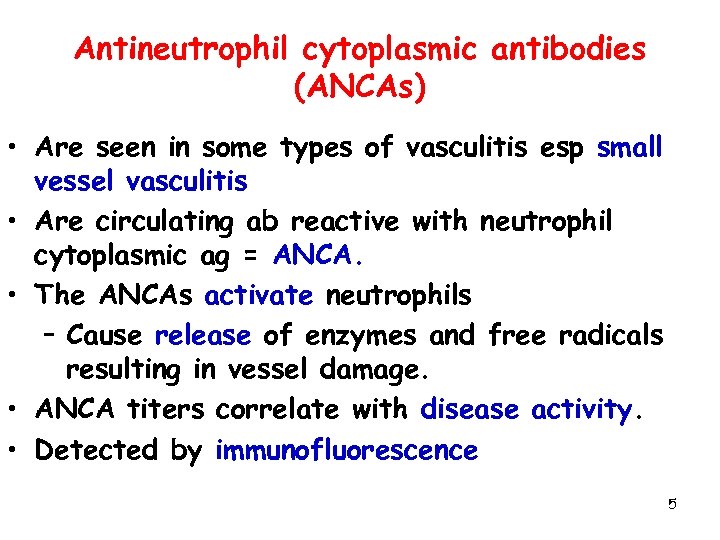 Antineutrophil cytoplasmic antibodies (ANCAs) • Are seen in some types of vasculitis esp small