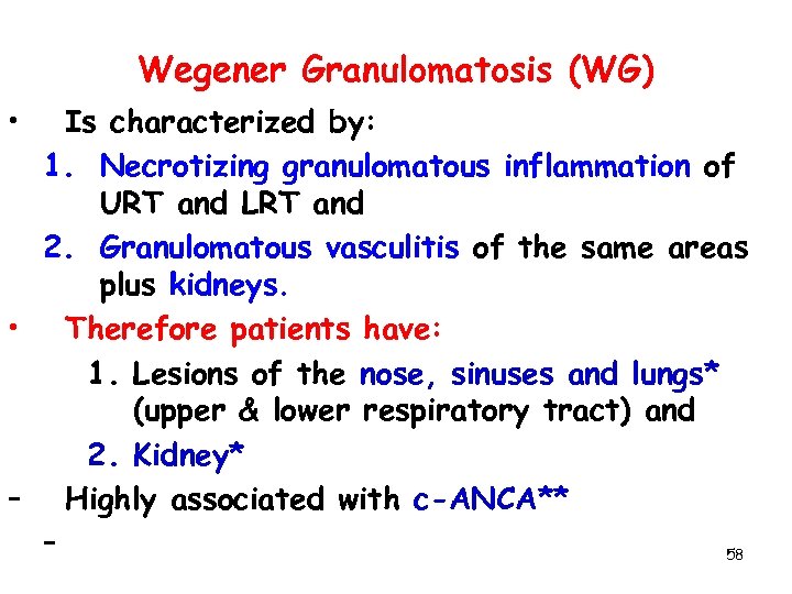 Wegener Granulomatosis (WG) • Is characterized by: 1. Necrotizing granulomatous inflammation of URT and