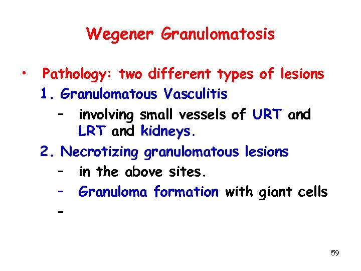 Wegener Granulomatosis • Pathology: two different types of lesions 1. Granulomatous Vasculitis – involving