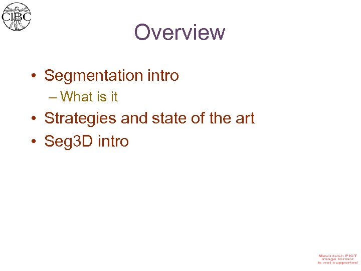 Overview • Segmentation intro – What is it • Strategies and state of the
