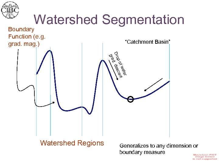 Watershed Segmentation Boundary Function (e. g. grad. mag. ) “Catchment Basin” r ate f
