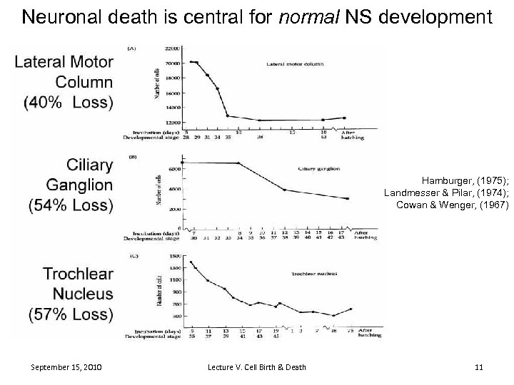 Neuronal death is central for normal NS development Hamburger, (1975); Landmesser & Pilar, (1974);