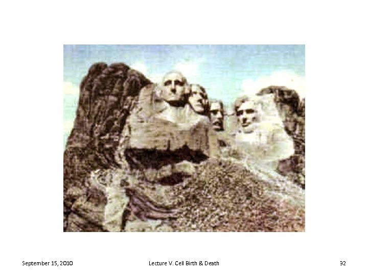 September 15, 2010 Lecture V. Cell Birth & Death 32 