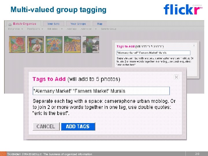 Multi-valued group tagging TAXONOMY STRATEGIES LLC The business of organized information 20 