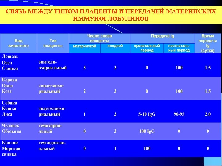 СВЯЗЬ МЕЖДУ ТИПОМ ПЛАЦЕНТЫ И ПЕРЕДАЧЕЙ МАТЕРИНСКИХ ИММУНОГЛОБУЛИНОВ 