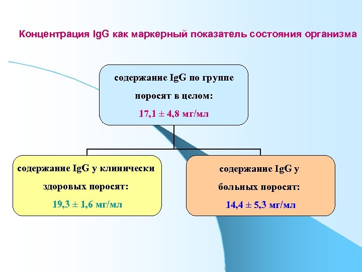 Концентрация Ig. G как маркерный показатель состояния организма содержание Ig. G по группе поросят