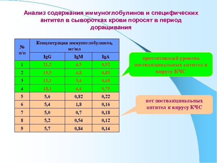 Анализ содержания иммуноглобулинов и специфических антител в сыворотках крови поросят в период доращивания №