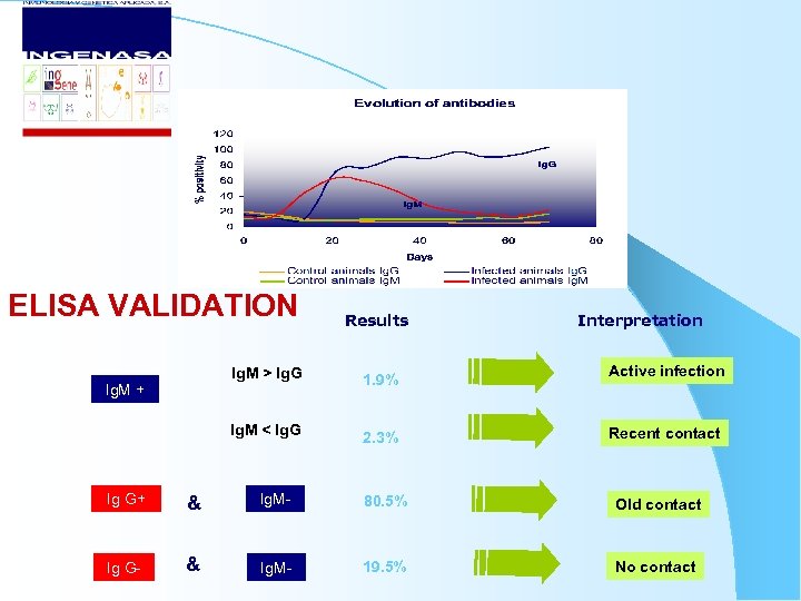 ELISA VALIDATION Ig. M > Ig. G Ig. M + Ig. M < Ig.
