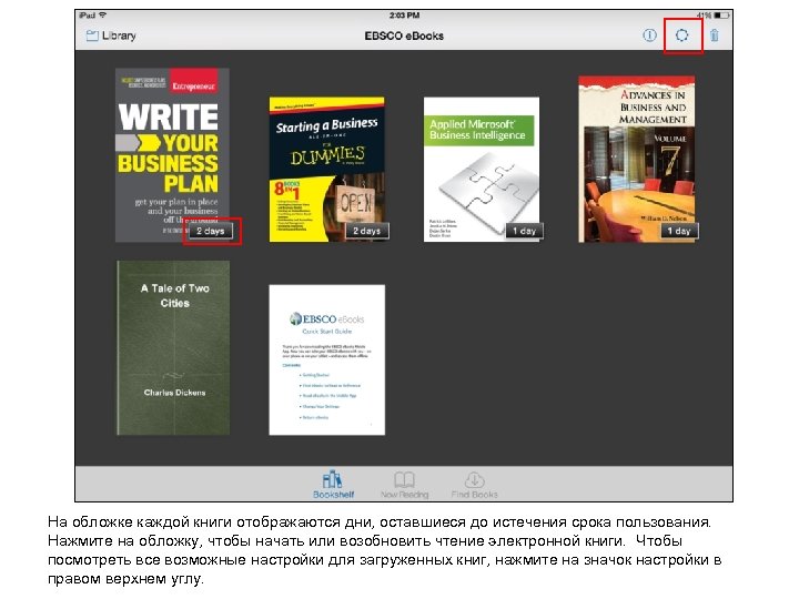 На обложке каждой книги отображаются дни, оставшиеся до истечения срока пользования. Нажмите на обложку,