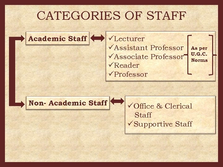 CATEGORIES OF STAFF Academic Staff Non- Academic Staff üLecturer üAssistant Professor üAssociate Professor üReader