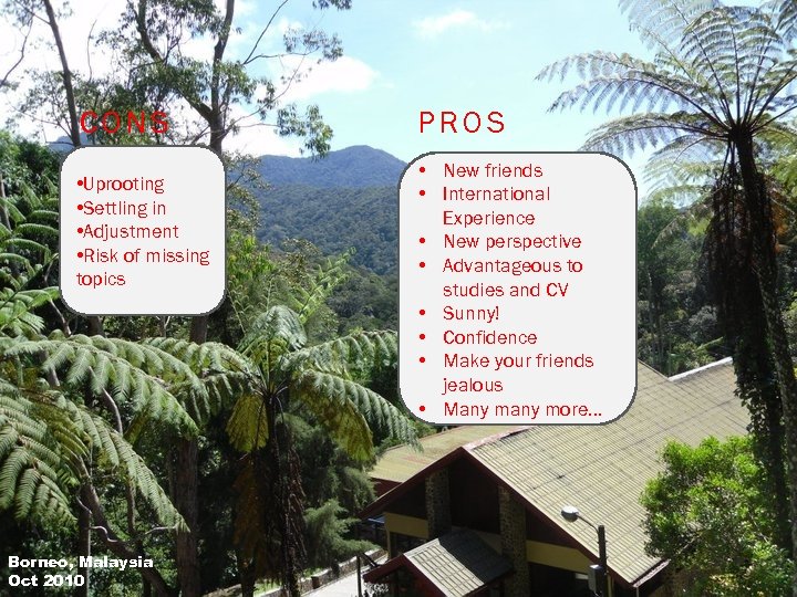 CONS • Uprooting • Settling in • Adjustment • Risk of missing topics Borneo,