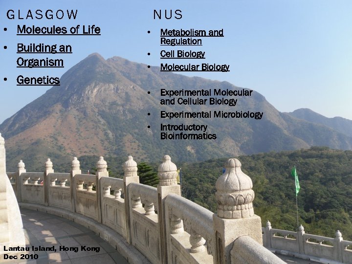 GLASGOW NUS • Molecules of Life • • Building an Organism • • Metabolism