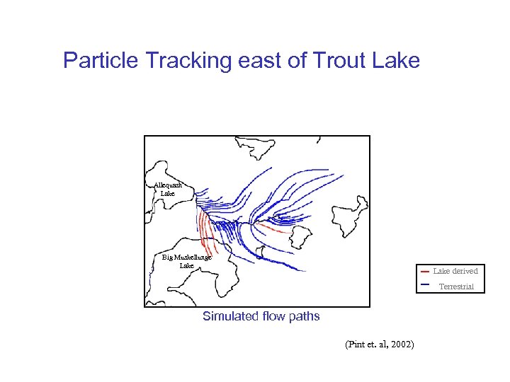 Particle Tracking east of Trout Lake Allequash Lake Big Muskellunge Lake derived Terrestrial Simulated