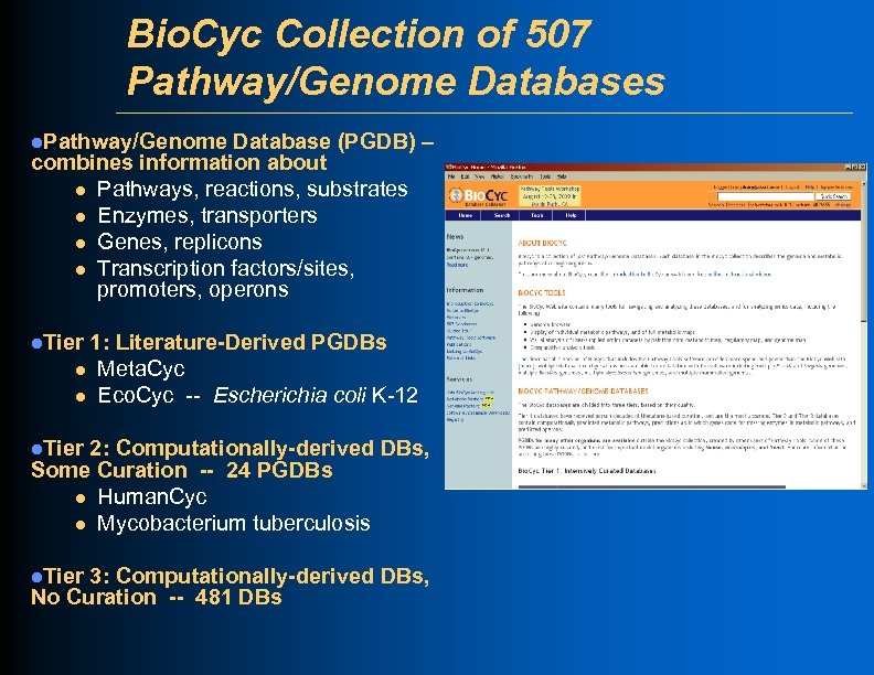 Bio. Cyc Collection of 507 Pathway/Genome Databases l. Pathway/Genome Database (PGDB) – combines information
