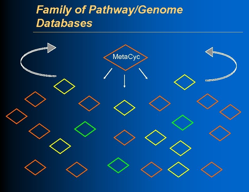 Family of Pathway/Genome Databases Meta. Cyc 