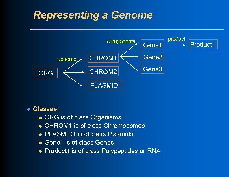 Representing a Genome components genome ORG Gene 1 CHROM 1 Gene 2 CHROM 2