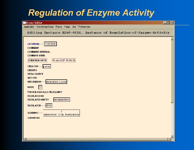 Regulation of Enzyme Activity 