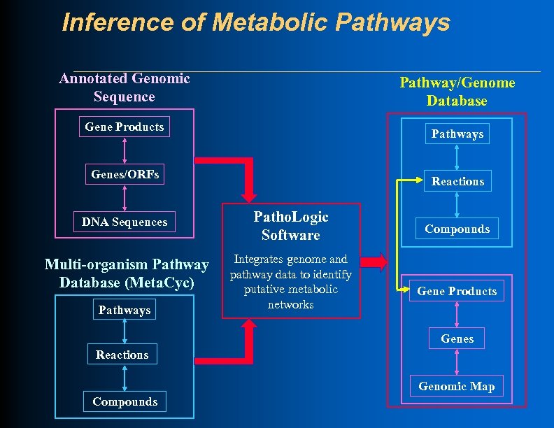 Inference of Metabolic Pathways Annotated Genomic Sequence Pathway/Genome Database Gene Products Pathways Genes/ORFs DNA