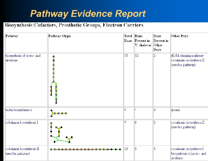 Pathway Evidence Report 