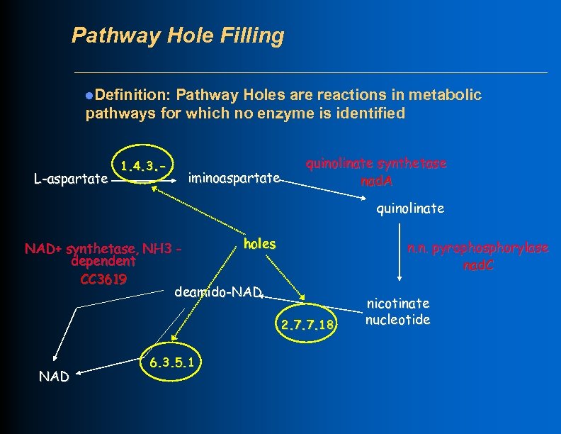 Pathway Hole Filling l. Definition: Pathway Holes are reactions in metabolic pathways for which