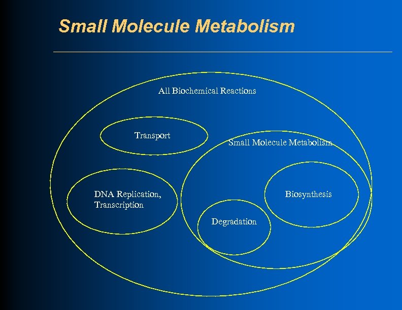 Small Molecule Metabolism All Biochemical Reactions Transport Small Molecule Metabolism DNA Replication, Transcription Biosynthesis