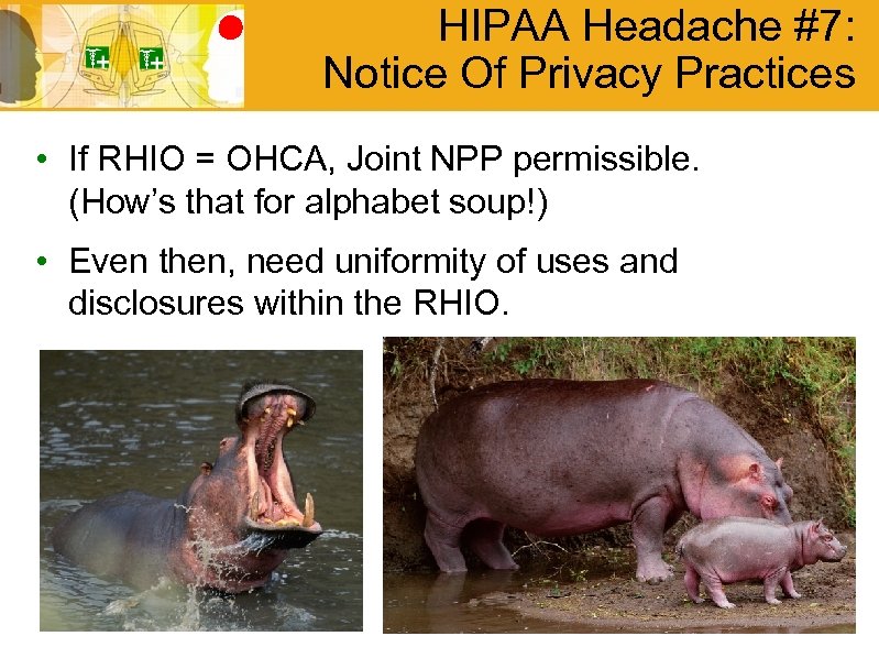 HIPAA Headache #7: Notice Of Privacy Practices • If RHIO = OHCA, Joint NPP