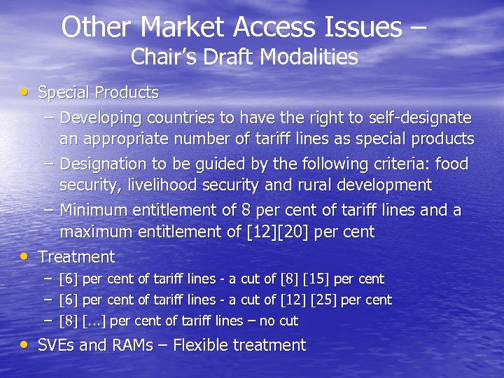 Other Market Access Issues – Chair’s Draft Modalities • Special Products – Developing countries