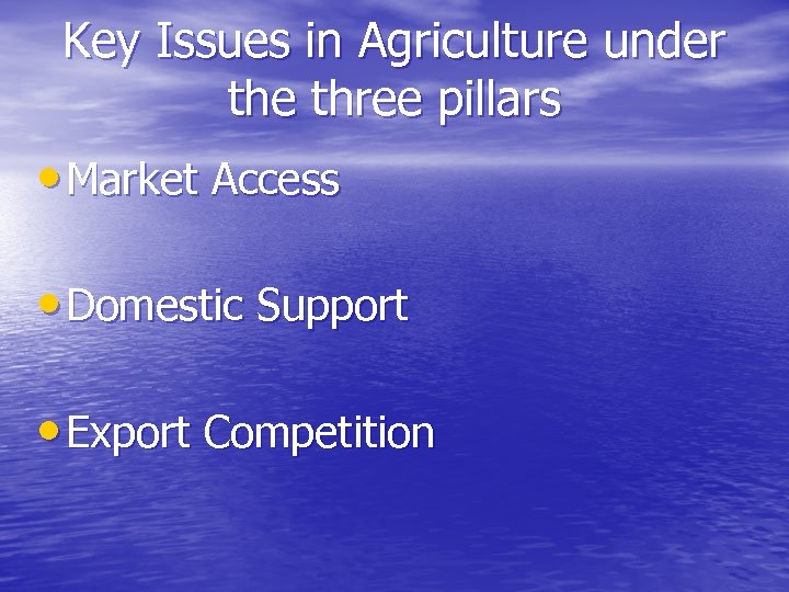 Key Issues in Agriculture under the three pillars • Market Access • Domestic Support
