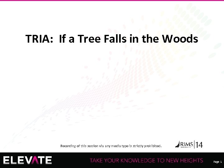 TRIA: If a Tree Falls in the Woods Recording of this session via any