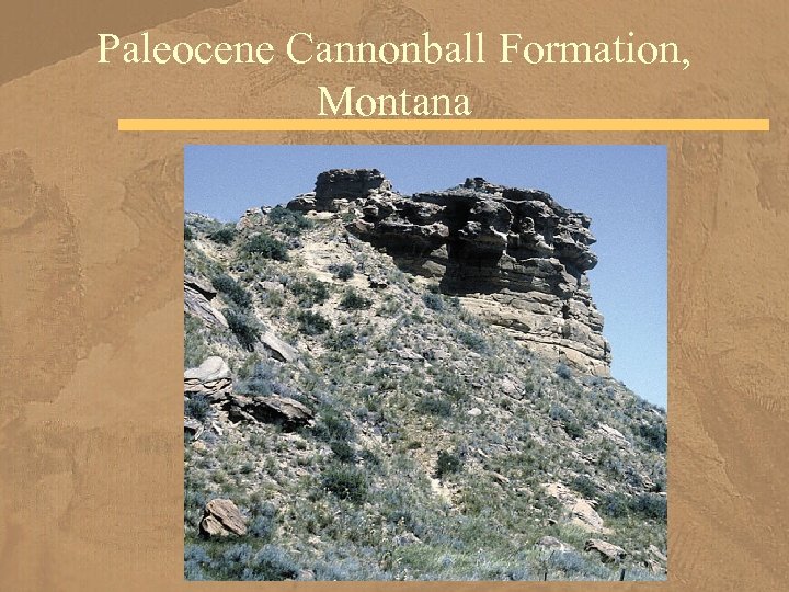 Paleocene Cannonball Formation, Montana 