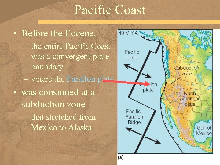 Pacific Coast • Before the Eocene, – the entire Pacific Coast was a convergent