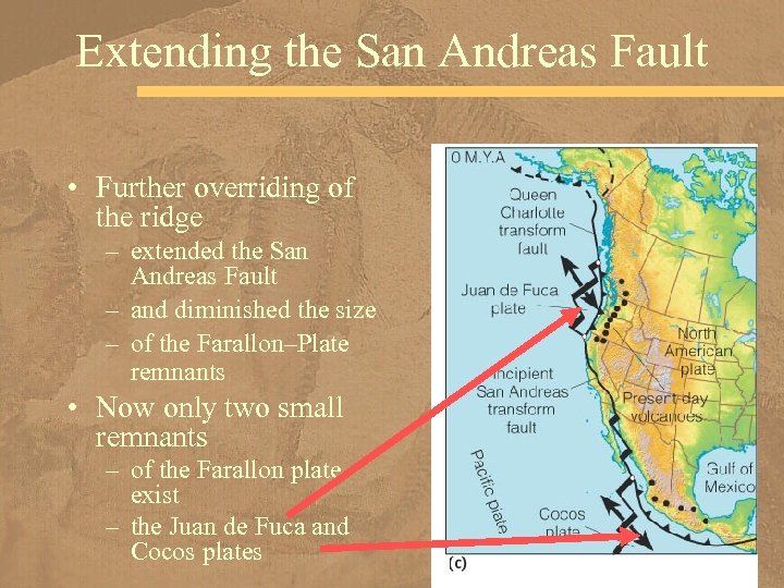 Extending the San Andreas Fault • Further overriding of the ridge – extended the