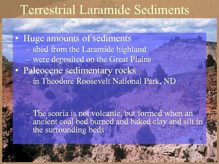 Terrestrial Laramide Sediments • Huge amounts of sediments – shed from the Laramide highland
