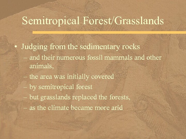 Semitropical Forest/Grasslands • Judging from the sedimentary rocks – and their numerous fossil mammals