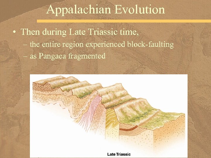 Appalachian Evolution • Then during Late Triassic time, – the entire region experienced block-faulting