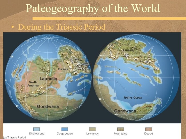 Paleogeography of the World • During the Triassic Period 