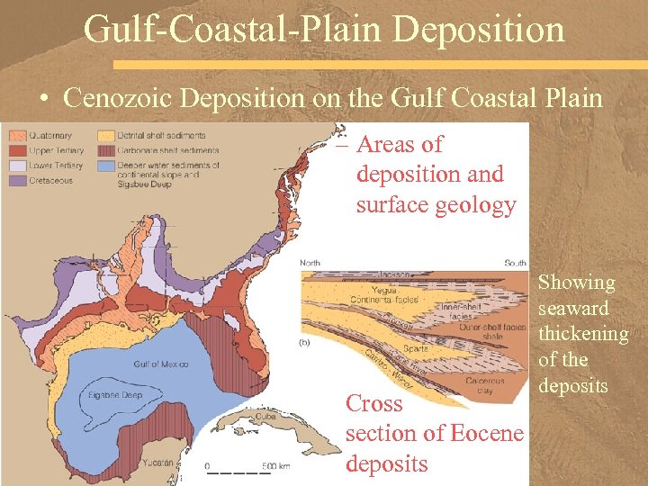 Gulf-Coastal-Plain Deposition • Cenozoic Deposition on the Gulf Coastal Plain – Areas of deposition
