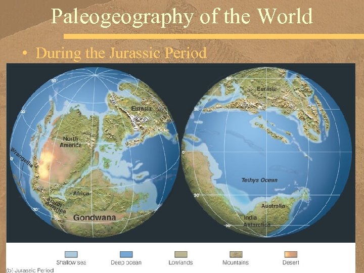 Paleogeography of the World • During the Jurassic Period 