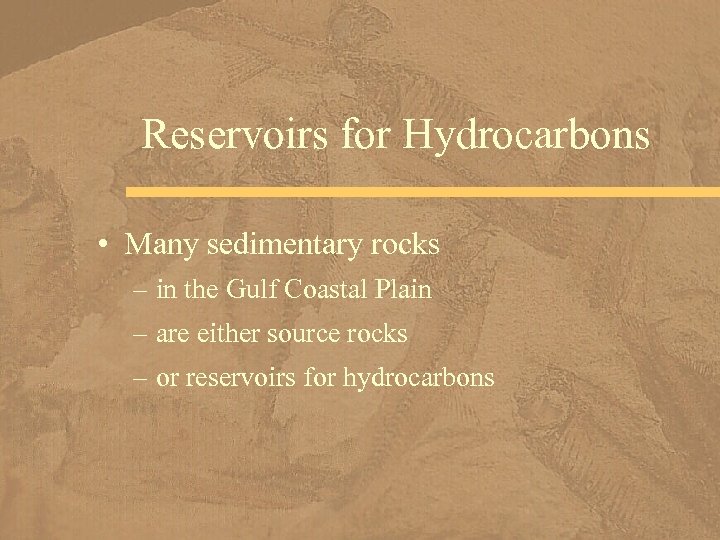 Reservoirs for Hydrocarbons • Many sedimentary rocks – in the Gulf Coastal Plain –