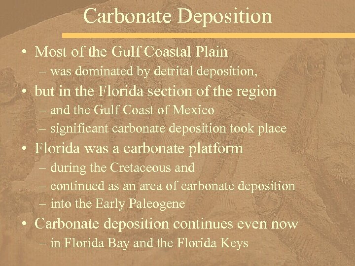 Carbonate Deposition • Most of the Gulf Coastal Plain – was dominated by detrital