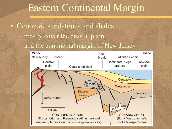 Eastern Continental Margin • Cenozoic sandstones and shales – mostly cover the coastal plain
