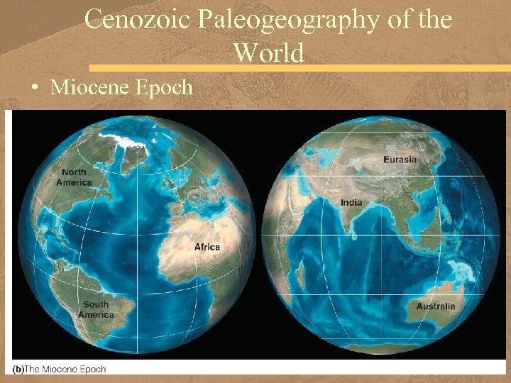 Cenozoic Paleogeography of the World • Miocene Epoch 