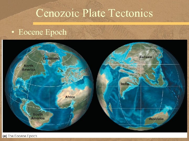 Cenozoic Plate Tectonics • Eocene Epoch 