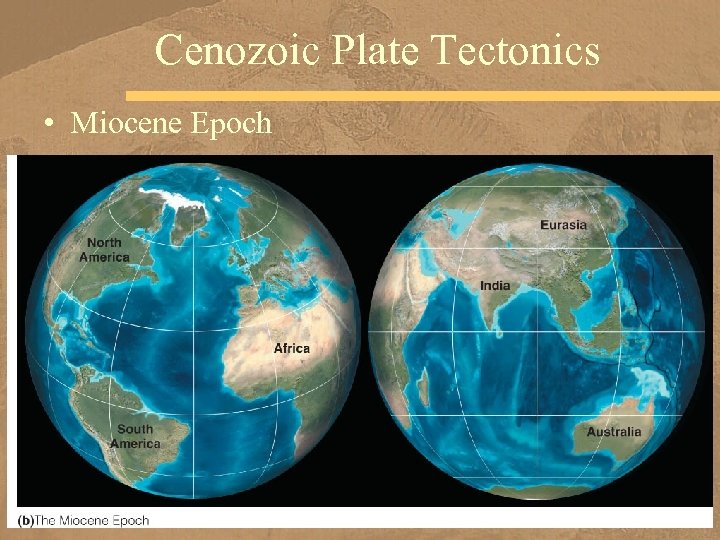 Cenozoic Plate Tectonics • Miocene Epoch 