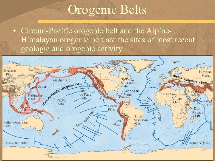 Orogenic Belts • Circum-Pacific orogenic belt and the Alpine. Himalayan orogenic belt are the