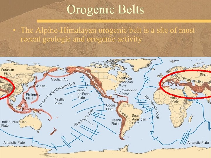 Orogenic Belts • The Alpine-Himalayan orogenic belt is a site of most recent geologic