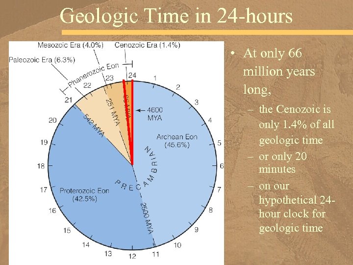 Geologic Time in 24 -hours • At only 66 million years long, – the